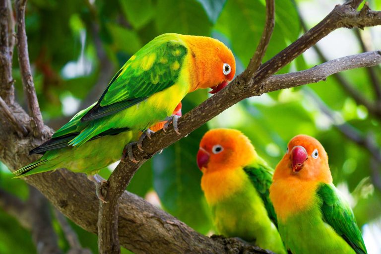 zec3jb9hd2b9mcturc2zf9tgfafrh78u