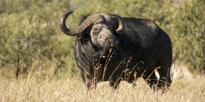 Hells_Gate_National_Park_013