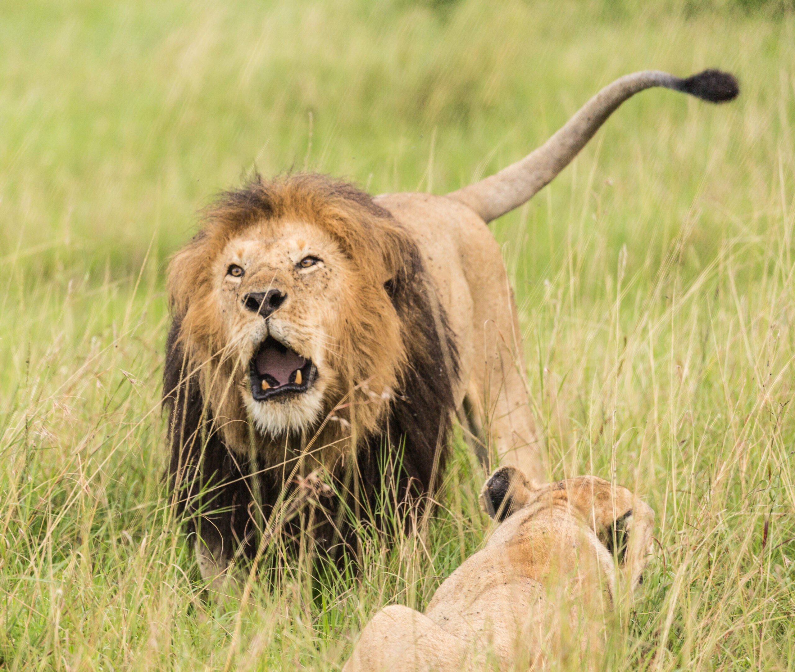 yourshot-1022402-6260160-scaled